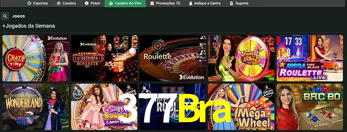 377Bra bet