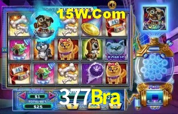 Flash Promotion 377Bra