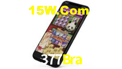 377Bra Bet